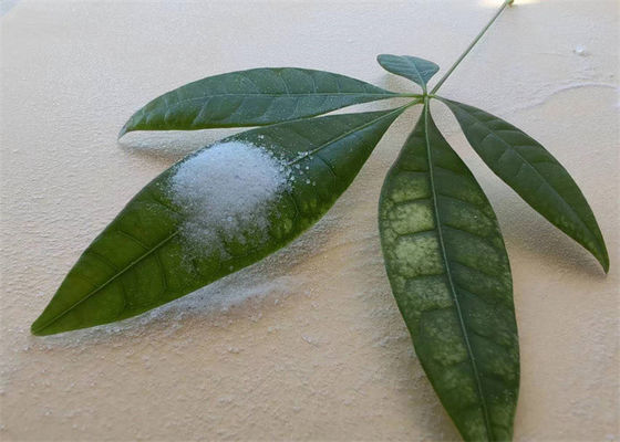 سعر جيد الراتنج الأكريليك الصلب ذو الارتباط العالي القابل للذوبان في الكحولات للحبر الانترنت